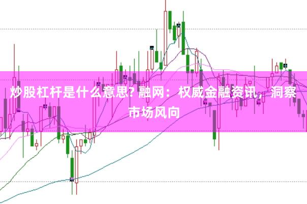炒股杠杆是什么意思? 融网：权威金融资讯，洞察市场风向