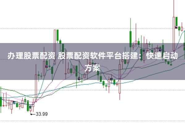办理股票配资 股票配资软件平台搭建：快速启动方案