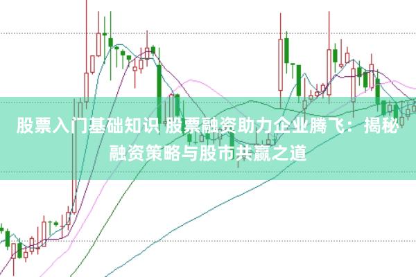 股票入门基础知识 股票融资助力企业腾飞：揭秘融资策略与股市共赢之道