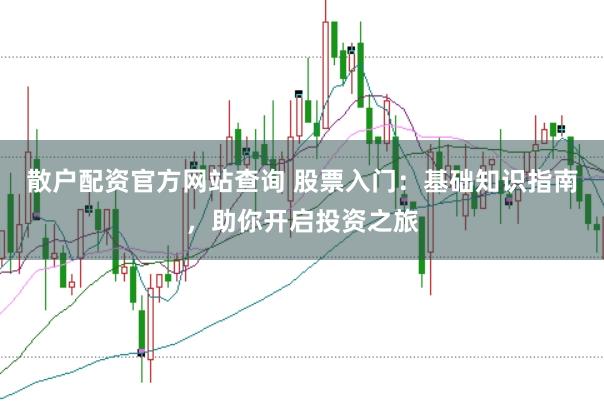 散户配资官方网站查询 股票入门：基础知识指南，助你开启投资之旅