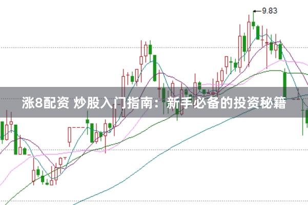 涨8配资 炒股入门指南：新手必备的投资秘籍