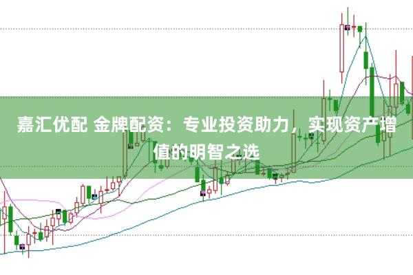 嘉汇优配 金牌配资：专业投资助力，实现资产增值的明智之选