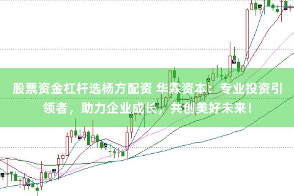 股票资金杠杆选杨方配资 华霖资本：专业投资引领者，助力企业成长，共创美好未来！