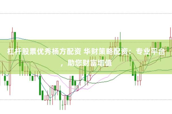杠杆股票优秀杨方配资 华财策略配资：专业平台，助您财富增值