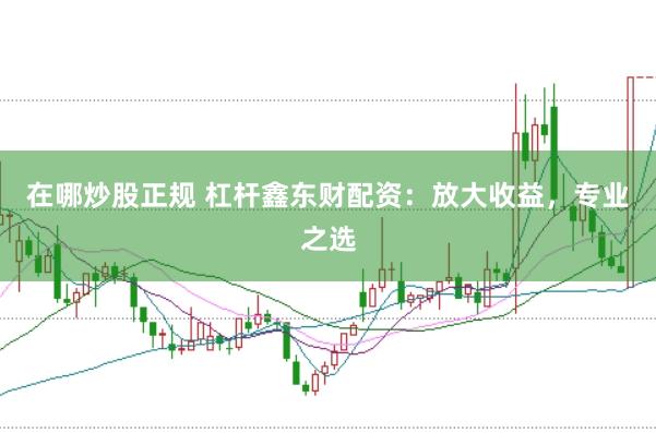 在哪炒股正规 杠杆鑫东财配资：放大收益，专业之选