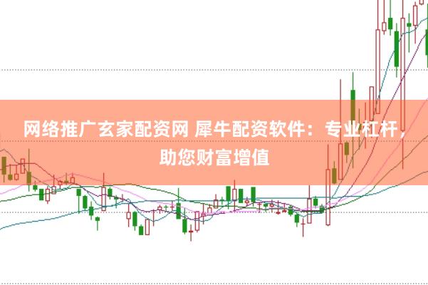 网络推广玄家配资网 犀牛配资软件：专业杠杆，助您财富增值
