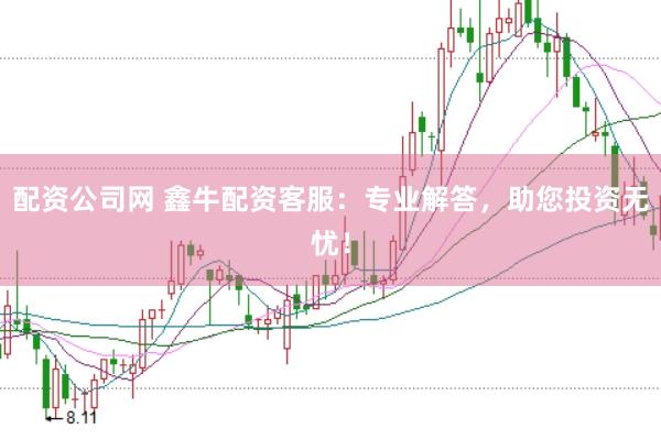 配资公司网 鑫牛配资客服：专业解答，助您投资无忧！