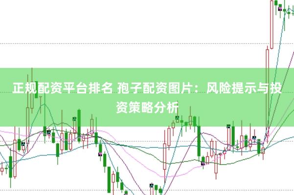 正规配资平台排名 孢子配资图片：风险提示与投资策略分析