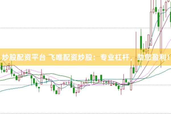 炒股配资平台 飞唯配资炒股：专业杠杆，助您盈利！