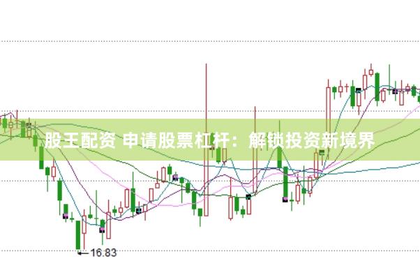 股王配资 申请股票杠杆：解锁投资新境界