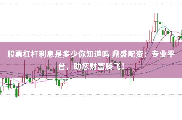 股票杠杆利息是多少你知道吗 鼎盛配资：专业平台，助您财富腾飞！