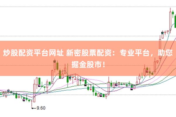 炒股配资平台网址 新密股票配资：专业平台，助您掘金股市！