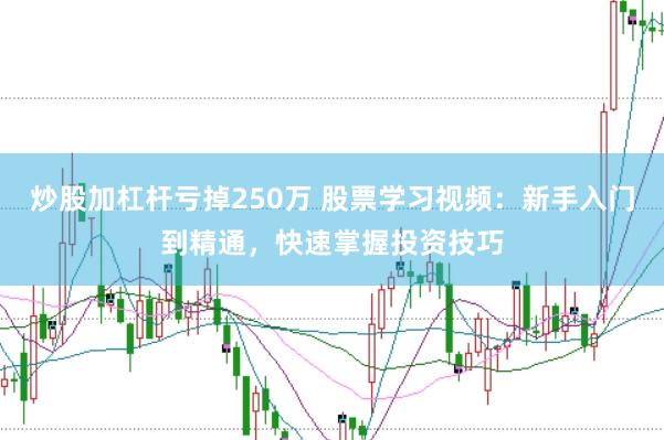 炒股加杠杆亏掉250万 股票学习视频：新手入门到精通，快速掌握投资技巧