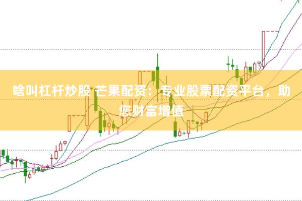 啥叫杠杆炒股 芒果配资:专业股票配资平台,助您财富增值