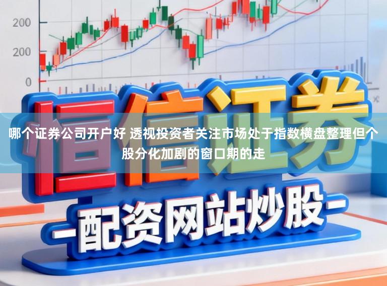 哪个证券公司开户好 透视投资者关注市场处于指数横盘整理但个股分化加剧的窗口期的走