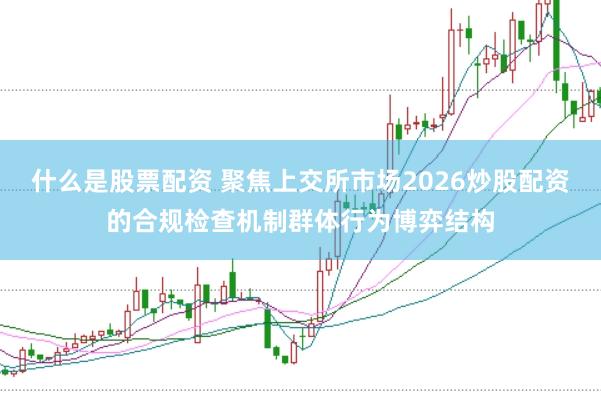 什么是股票配资 聚焦上交所市场2026炒股配资的合规检查机制群体行为博弈结构