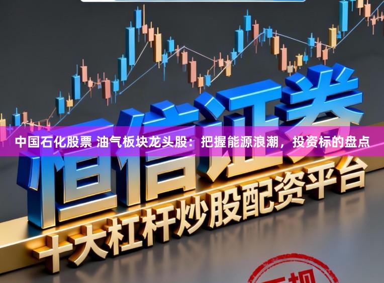 中国石化股票 油气板块龙头股:把握能源浪潮,投资标的盘点